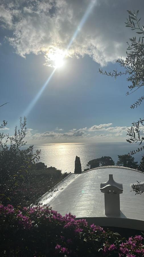 Casa Nannina - Seaview Terrace With Jacuzzi In Capri公寓 外观 照片